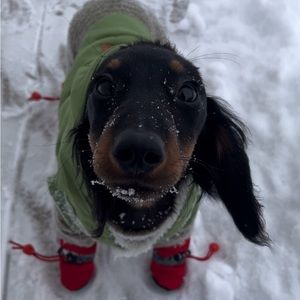 Meet your Posher, Sitara